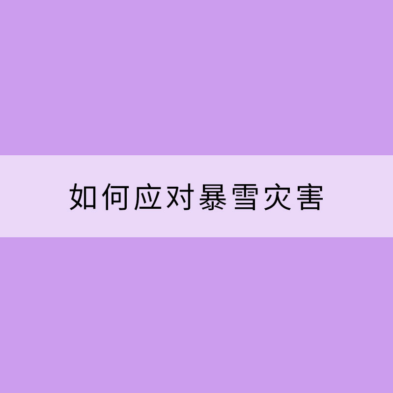 如何应对暴雪灾害