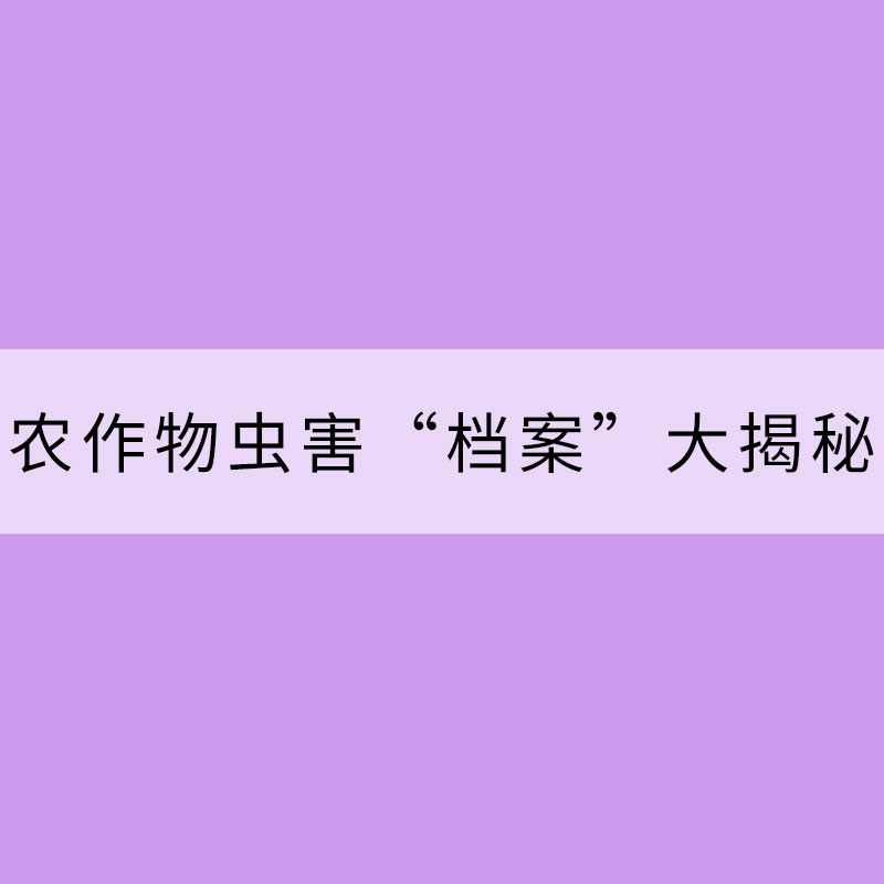 盘点：常见农作物虫害“档案”大揭秘