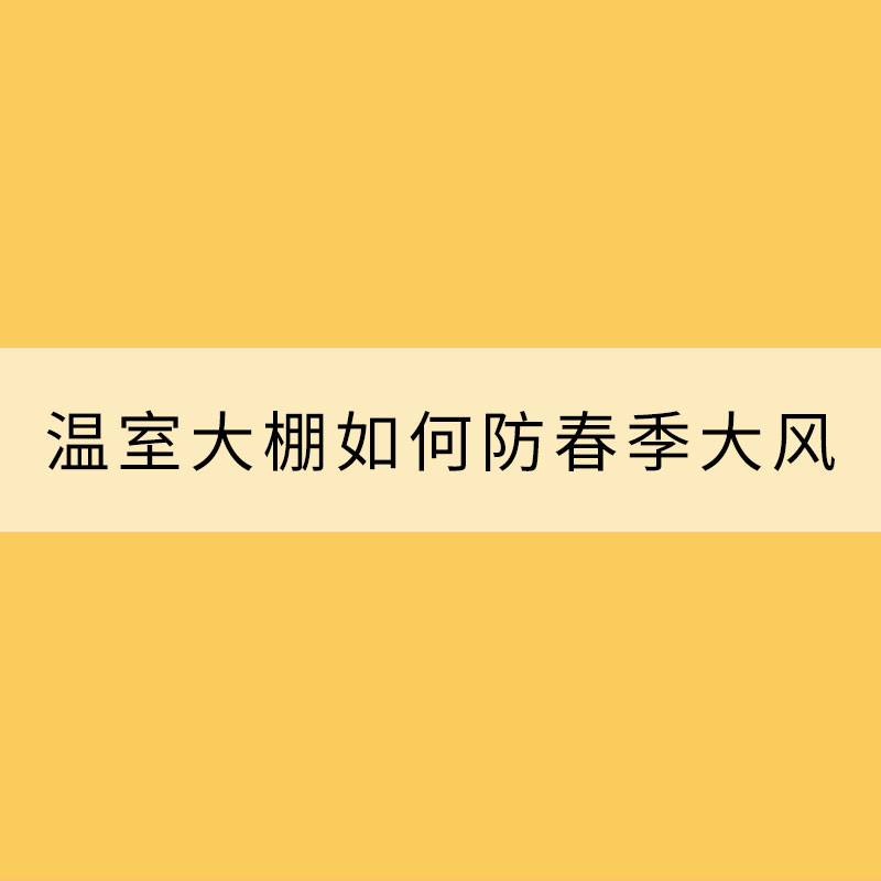 温室大棚如何防春季大风