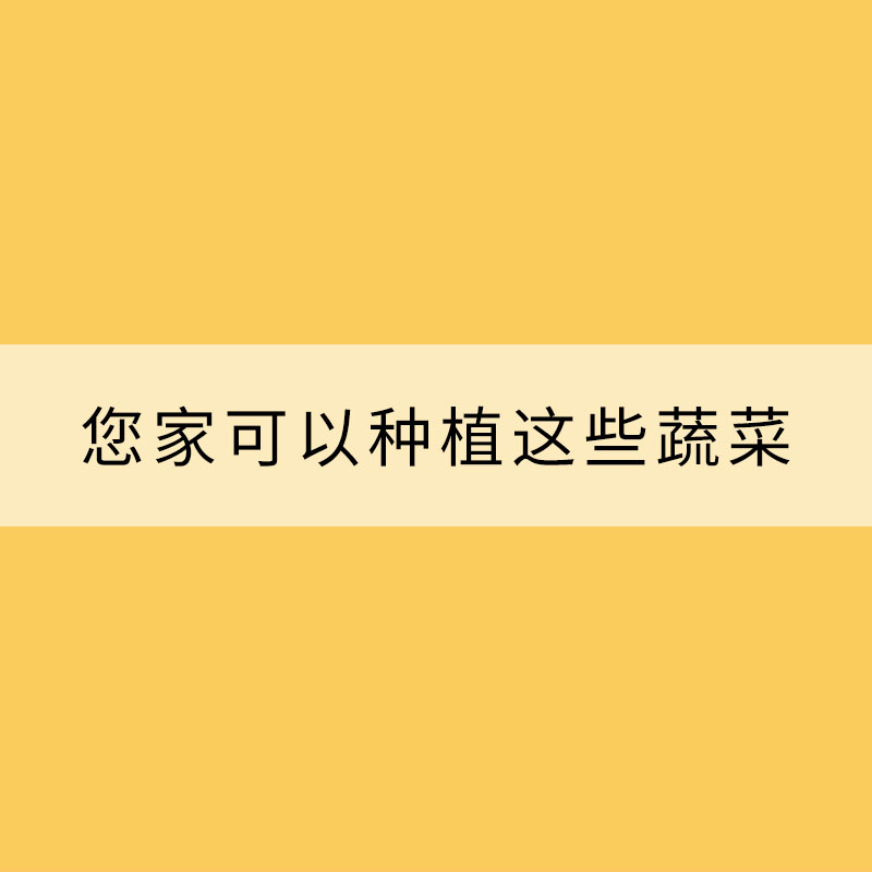 小雪节气到 您家可以种植这些蔬菜