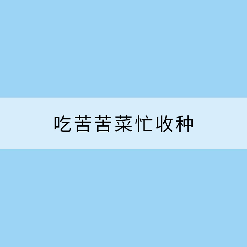 吃苦苦菜忙收种 小满节气习俗知多少